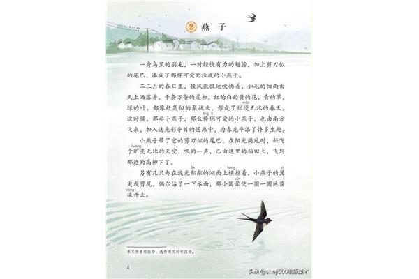 《燕子》课文