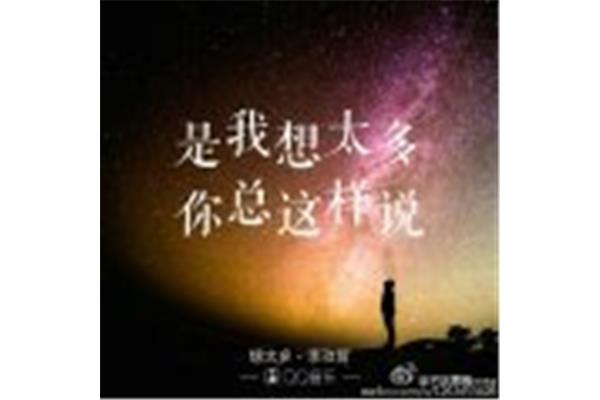 是我想太多歌词