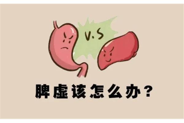 如何养脾胃