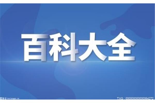 教资可以考几次