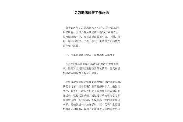 见习期工作总结