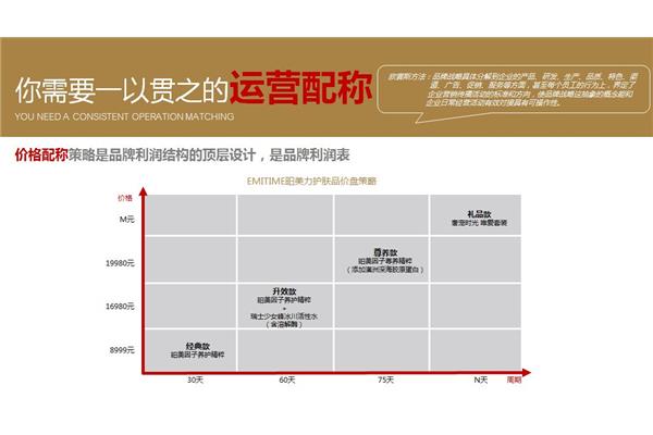 企业品牌战略