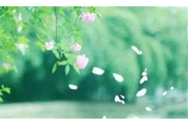 花落时节又逢君
