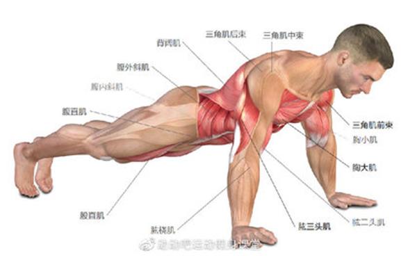 三角肌后束怎么练