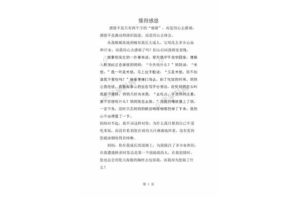 我懂得了坚持作文