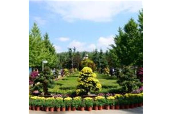 兰州植物园