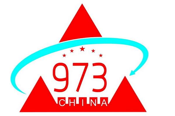 973计划