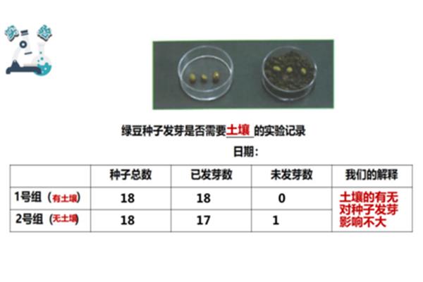 绿豆发芽实验