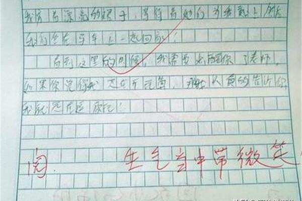 如果我是老师作文