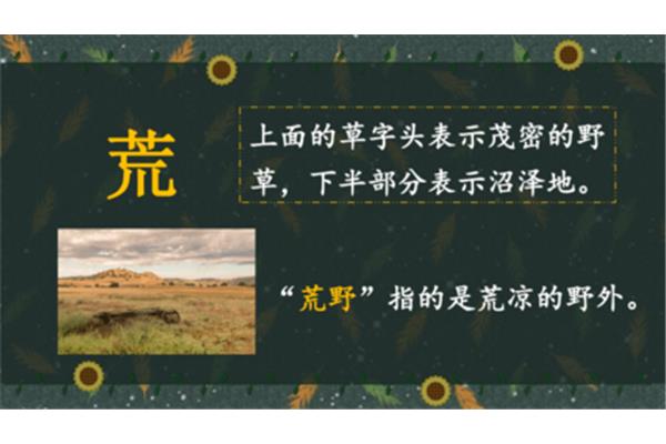 草字头与什么有关