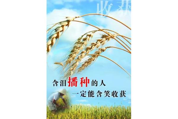 一分耕耘一分收获