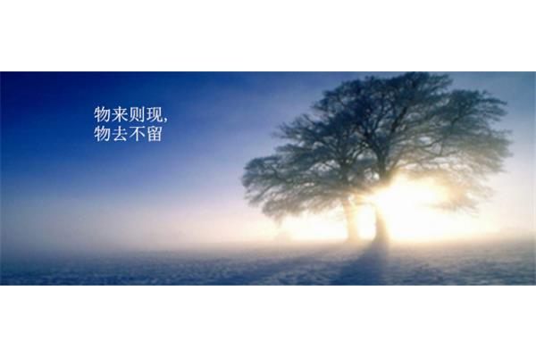 坦然接受什么意思