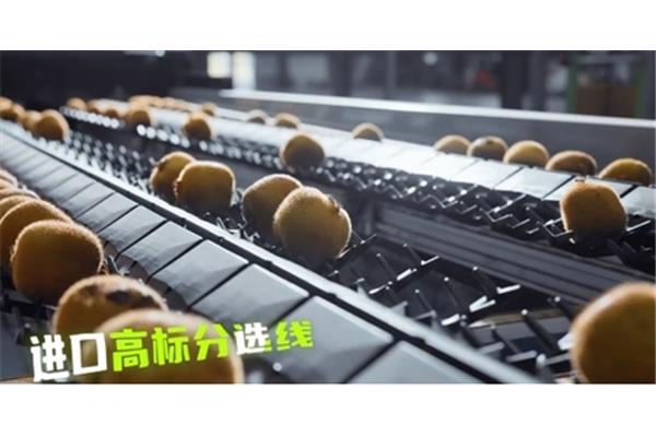 消化性溃疡病