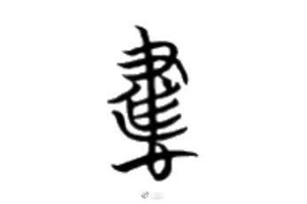 书字的演变过程
