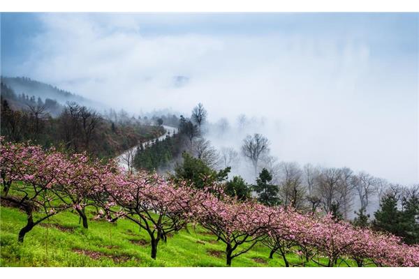 春路雨添花
