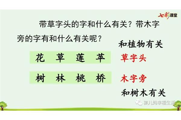 草字头与什么有关