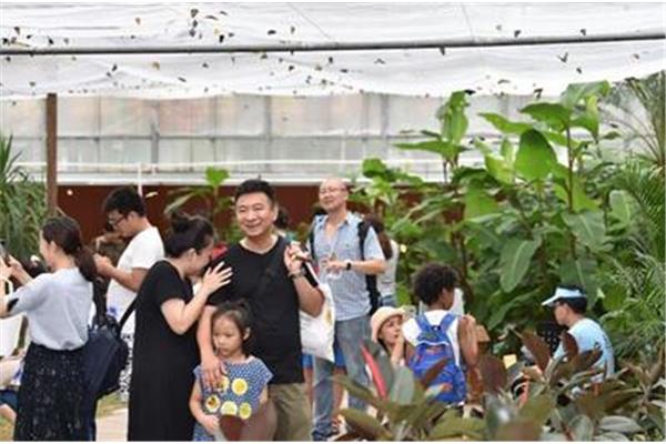 蝴蝶的生活习性