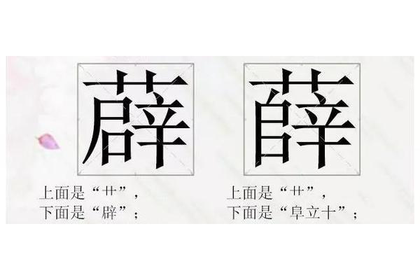 草字头与什么有关
