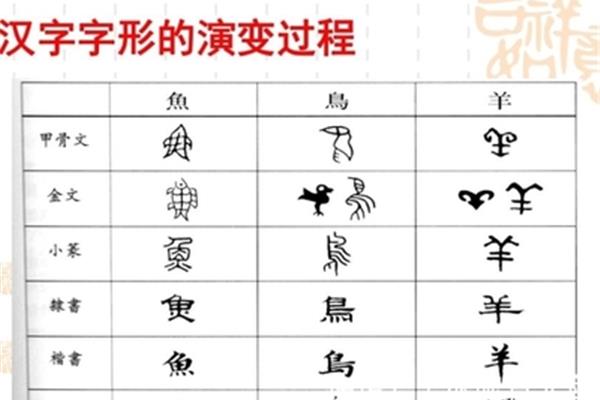 书字的演变过程
