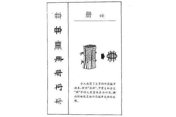 书字的演变过程