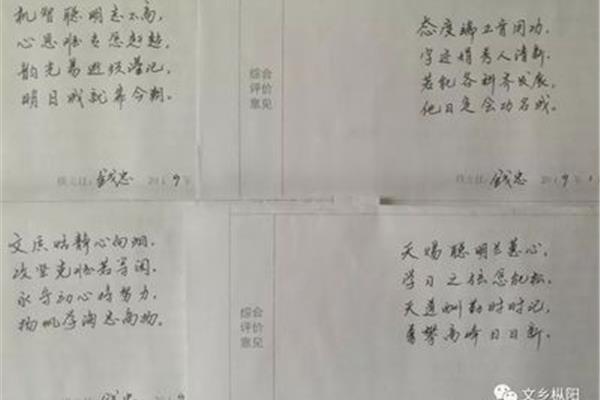 综合评语怎么写