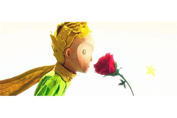 小王子的玫瑰