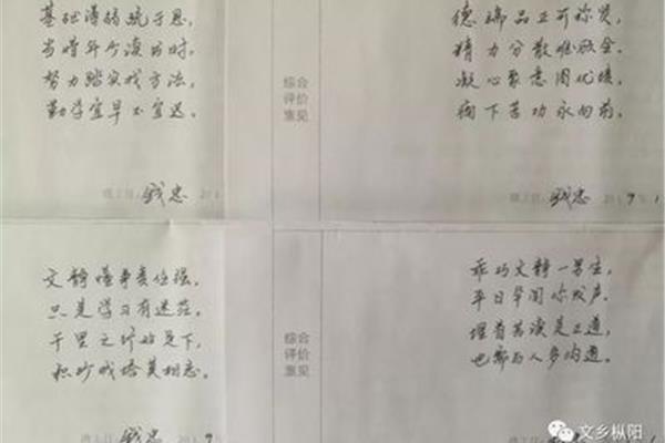 综合评语怎么写