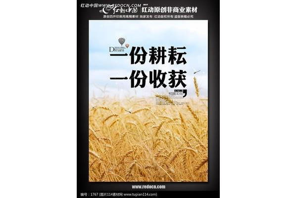 一分耕耘一分收获