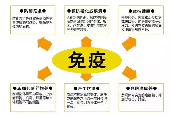 过程的意思
