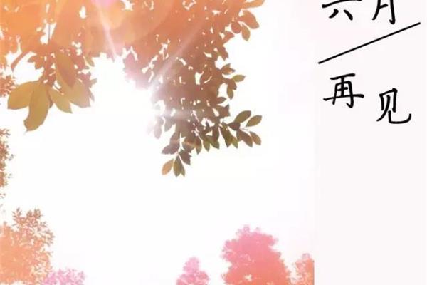 最美好的一天