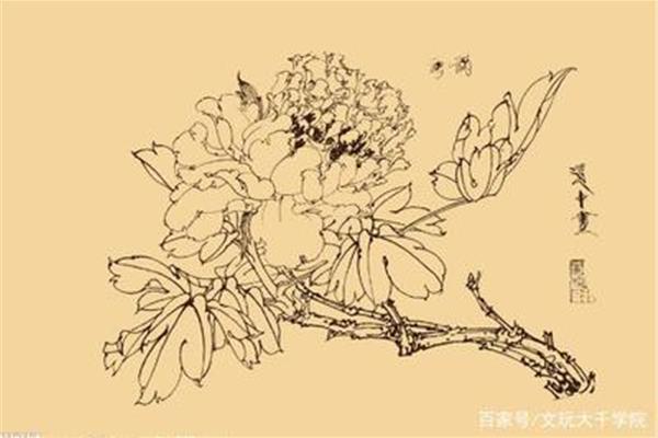 什么是白描