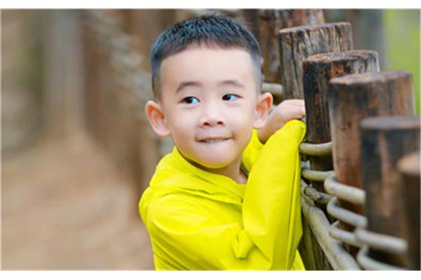 李的名字男孩
