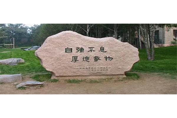 自强不息近义词