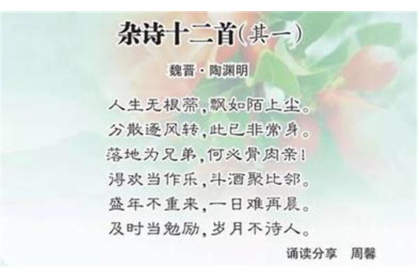 杂诗晋陶渊明