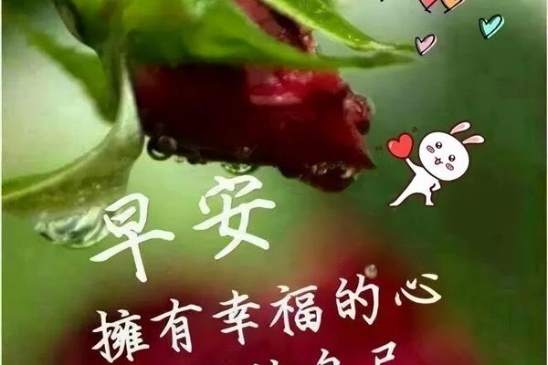 最美好的一天