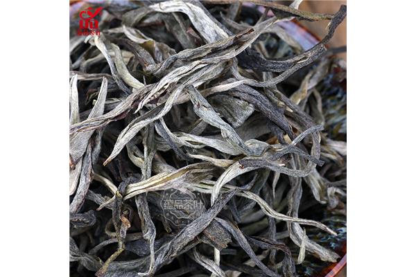普洱茶生茶