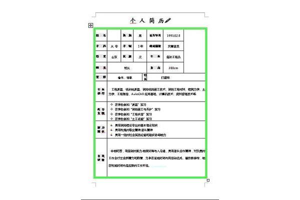 专业技能怎么写