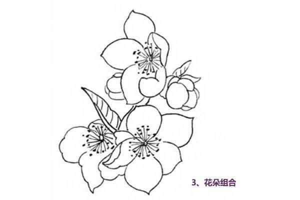 什么是白描