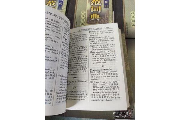 规范近义词