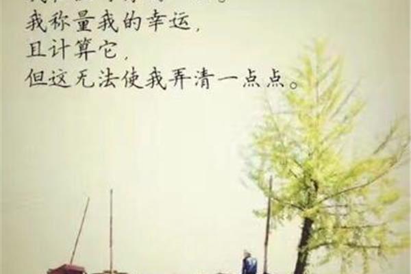 经典情话短句