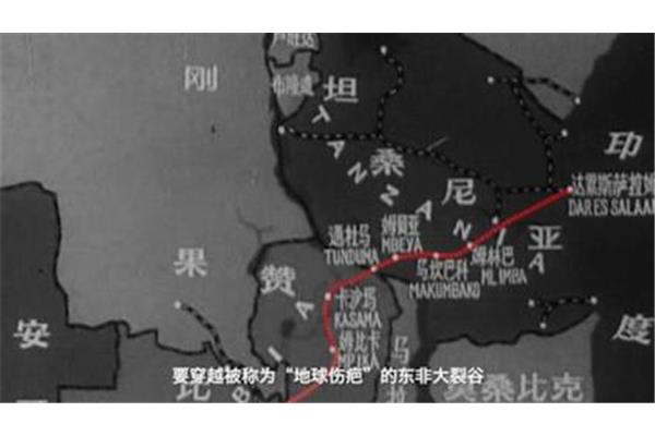 两对鸳鸯一张床