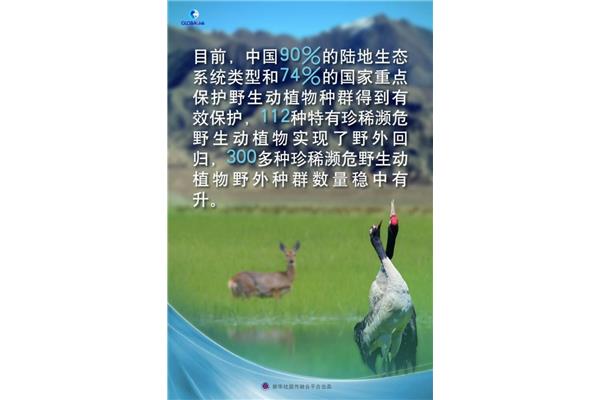 生物多样性保护