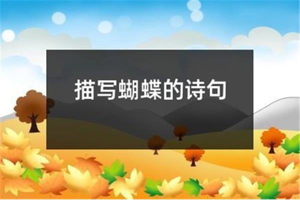 描写蝴蝶的诗句