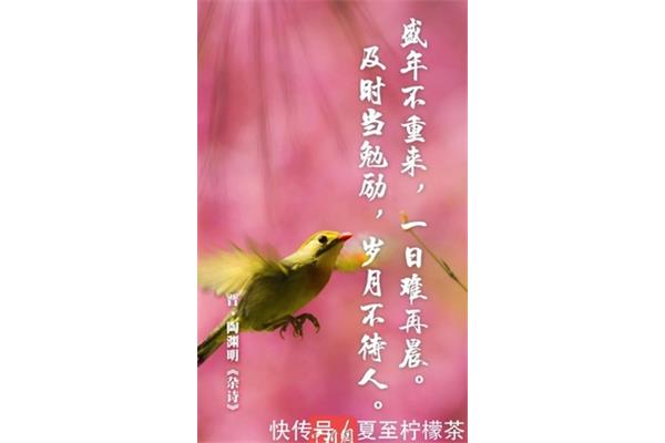 一日难再晨全诗
