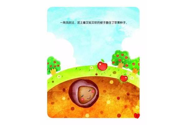 一粒种子的故事
