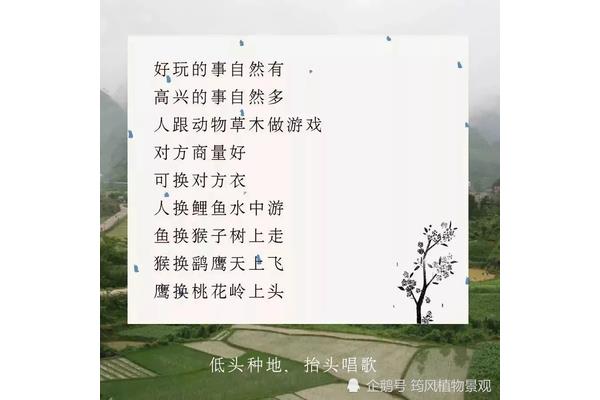 爱是很自然的事