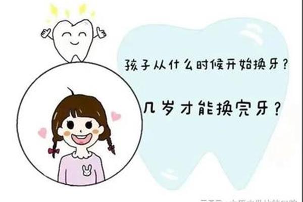 宝宝几岁开始换牙