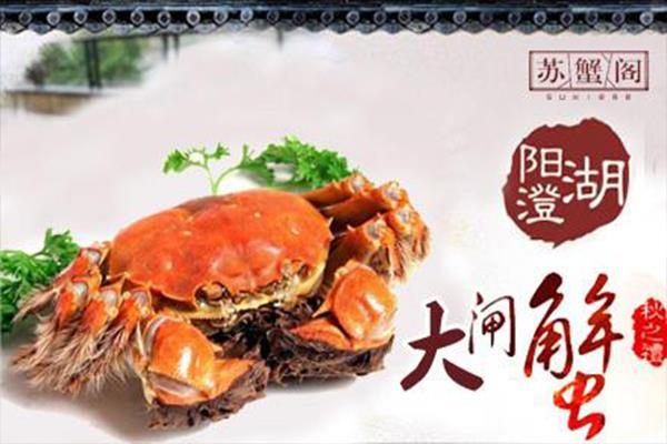 苏州阳澄湖大闸蟹
