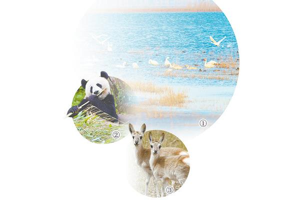 生物多样性保护