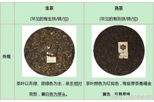 普洱茶生茶
